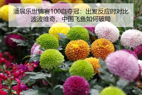潘展乐世锦赛100自夺冠：出发反应时对比波波维奇，中国飞鱼如何破局